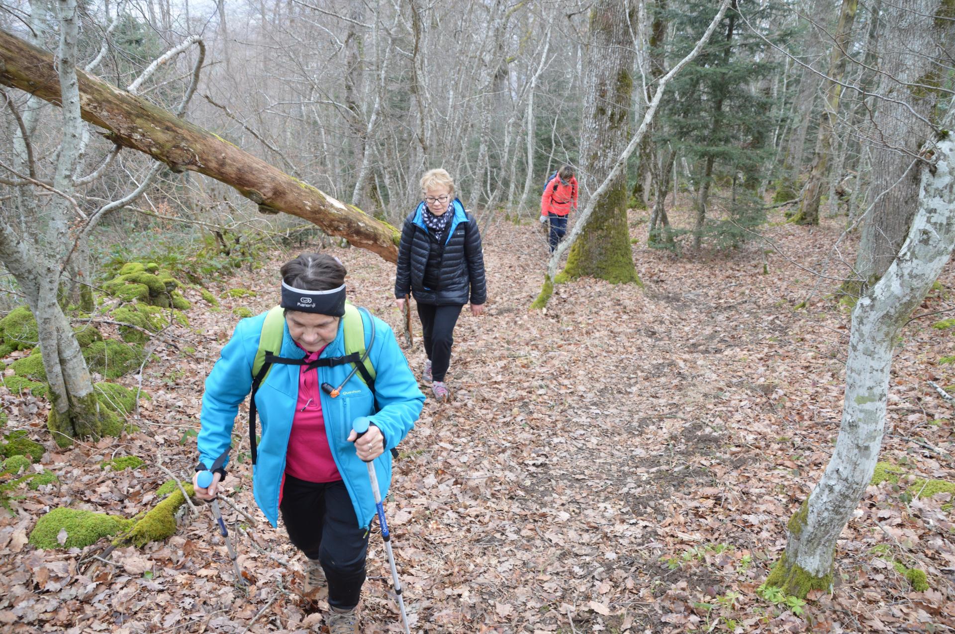 Sur les chemins et sous bois du Mont Pothu