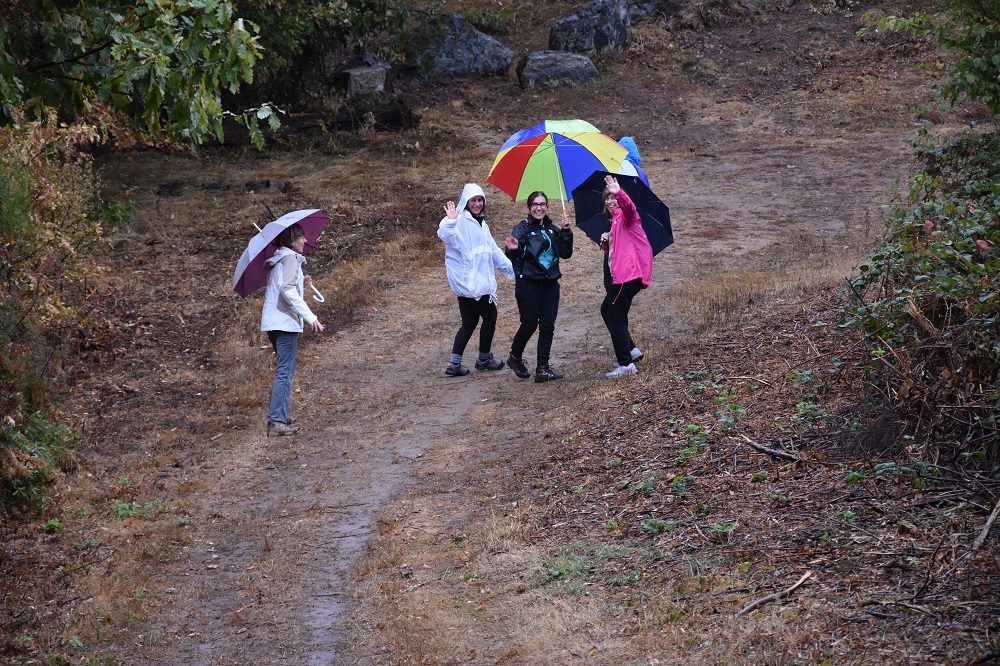 Ils sont jolies nos parapluies