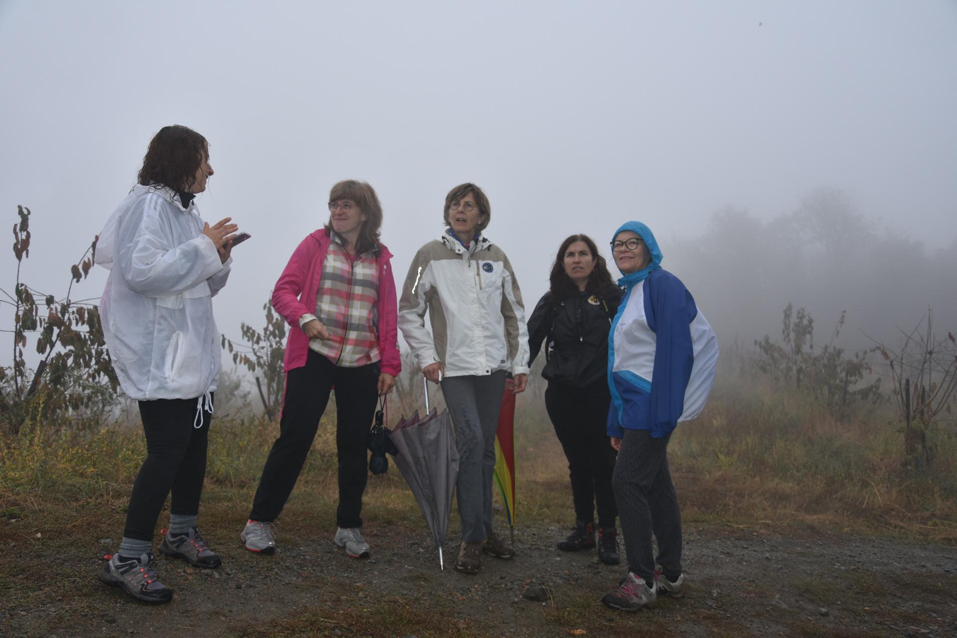 Voilà le brouillard