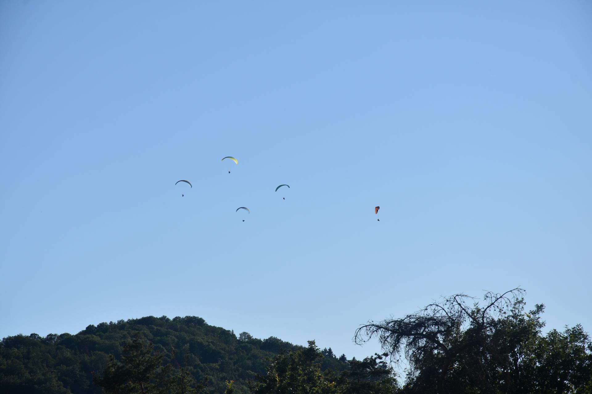 Le ciel était bleu avec de drôles d'oiseaux!!!!