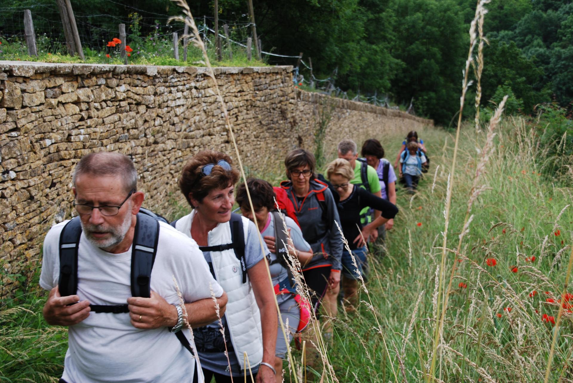 Remarquable cet alignement de marcheurs