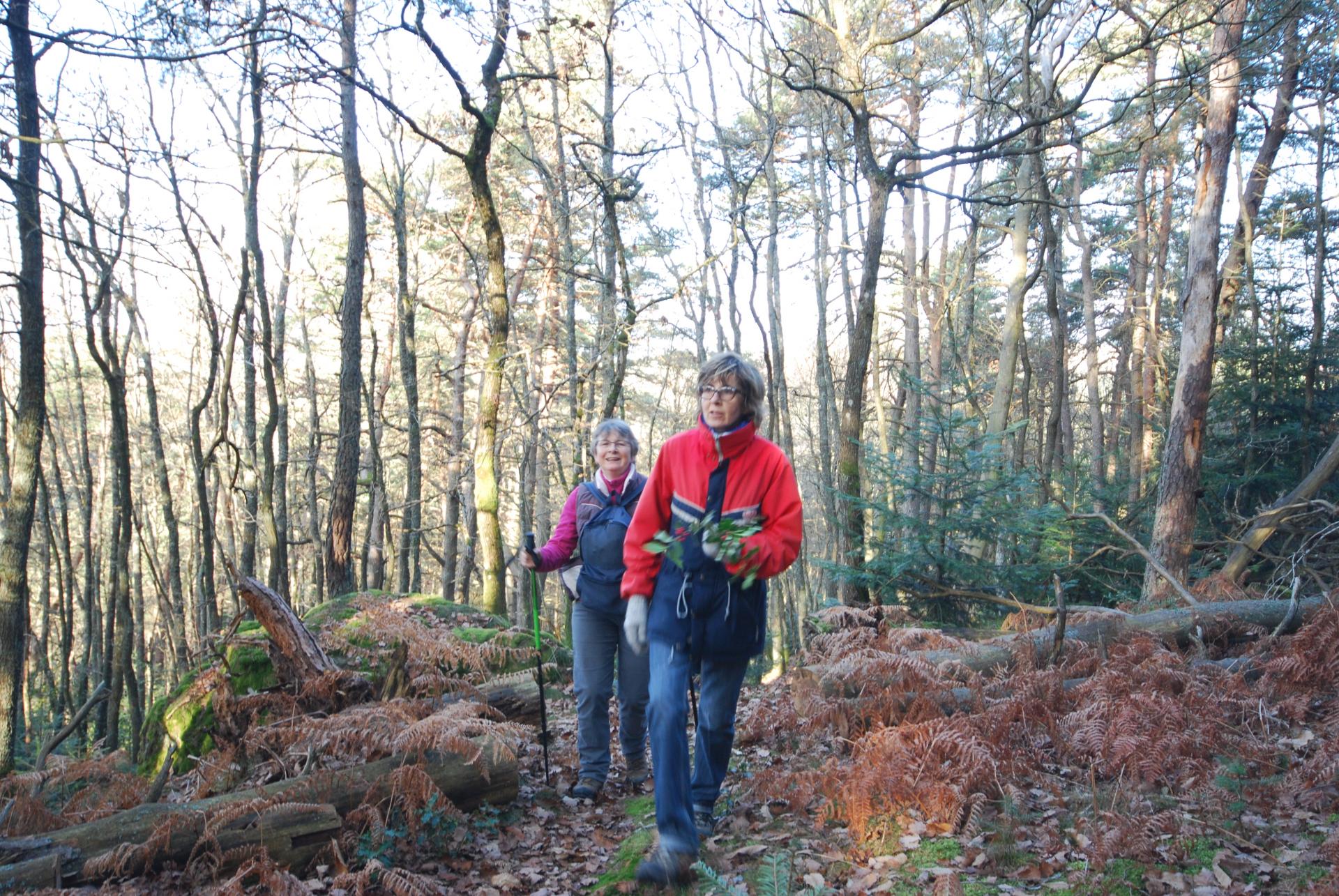 C'est super la foret en hiver