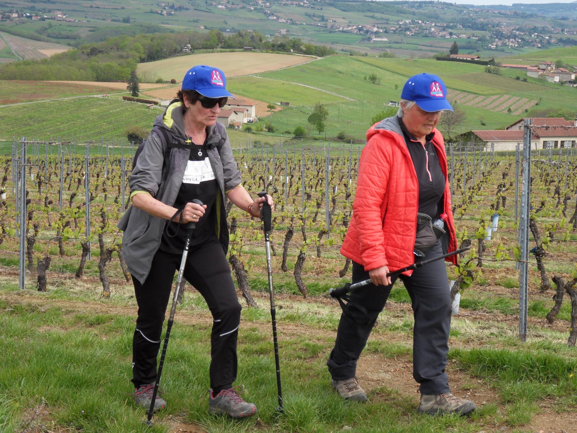 On se croirait à la marche nordique.