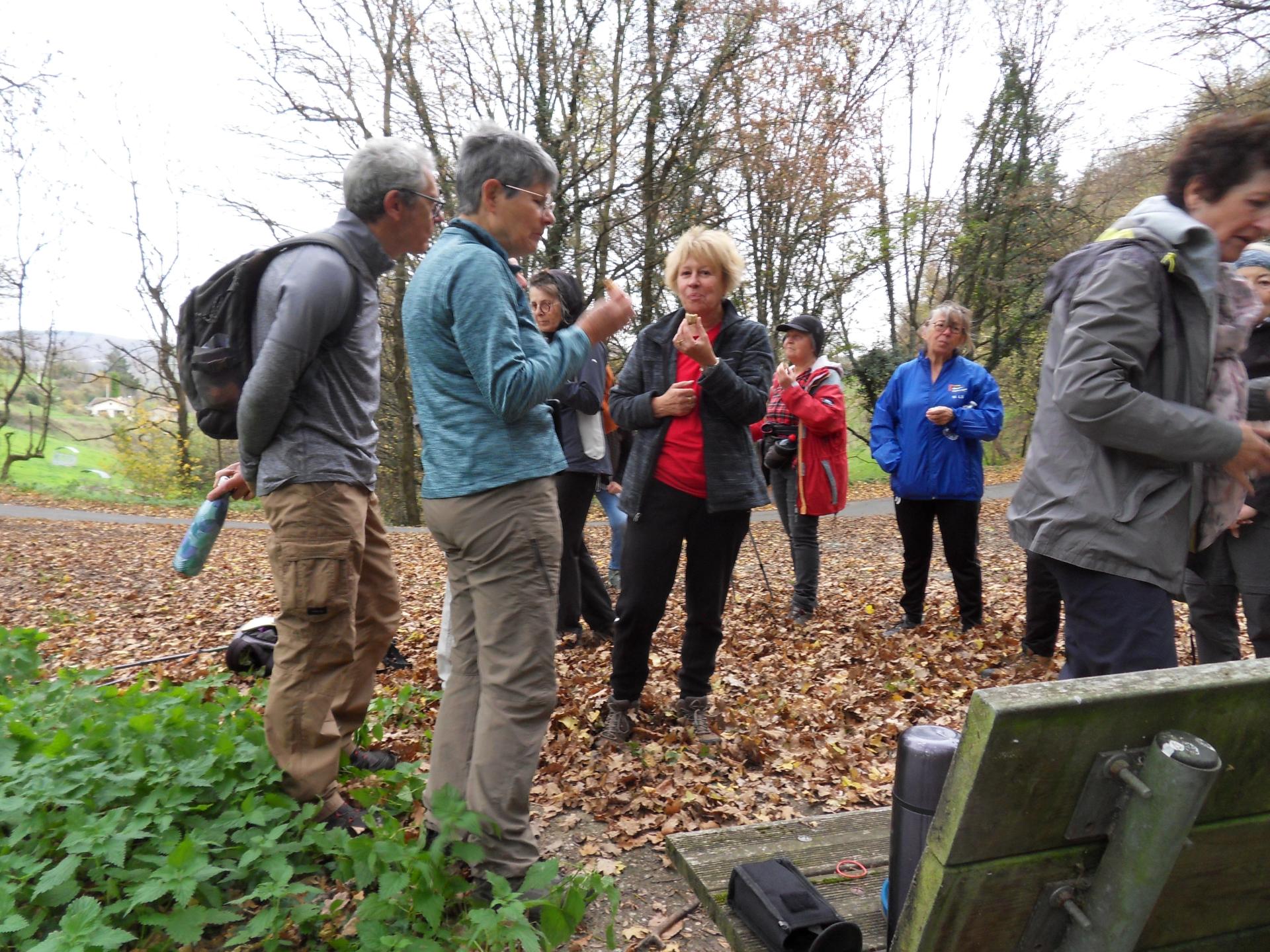 Que de bonnes sucreries.