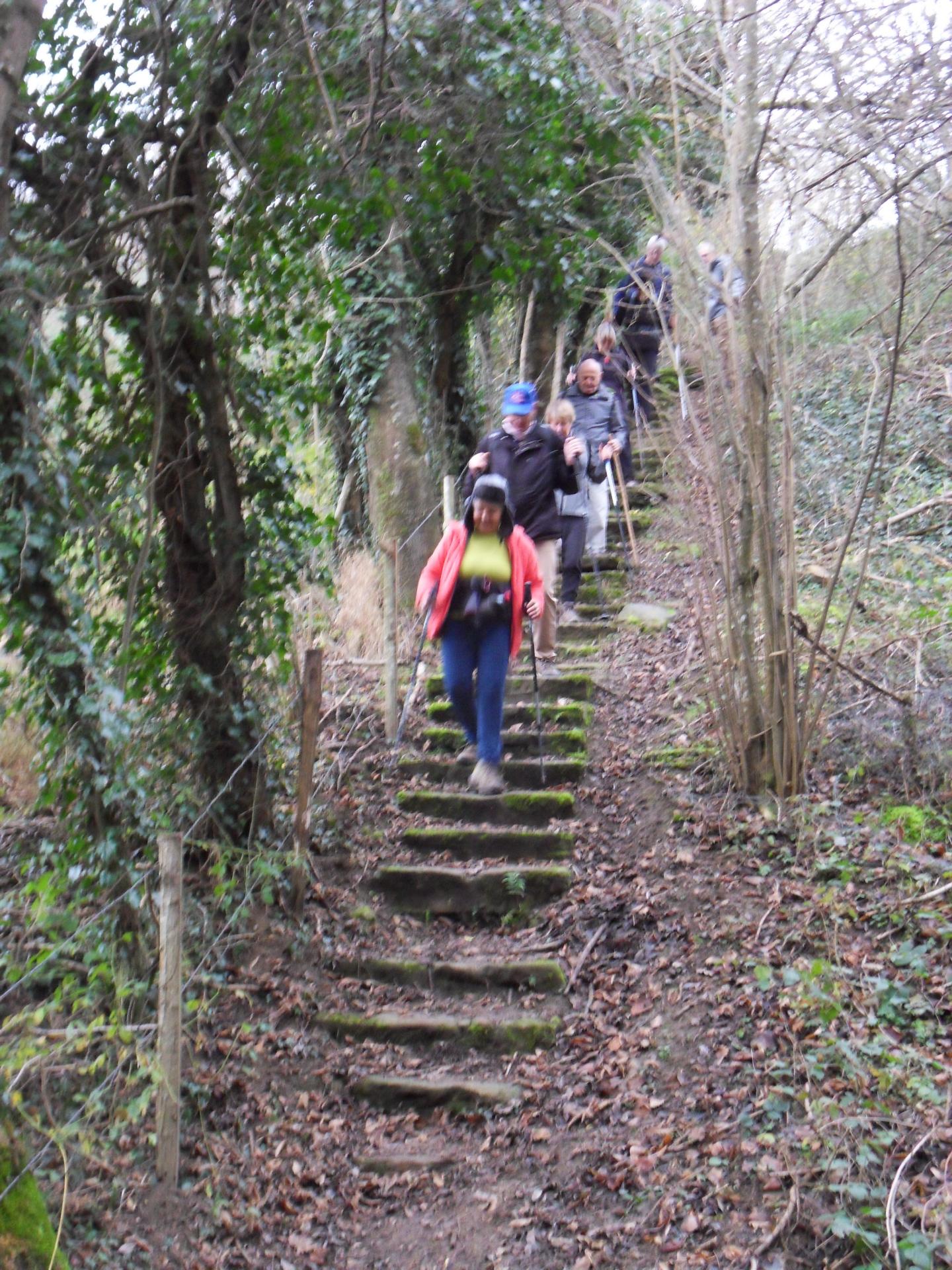 Retour vers Saint Pierre.