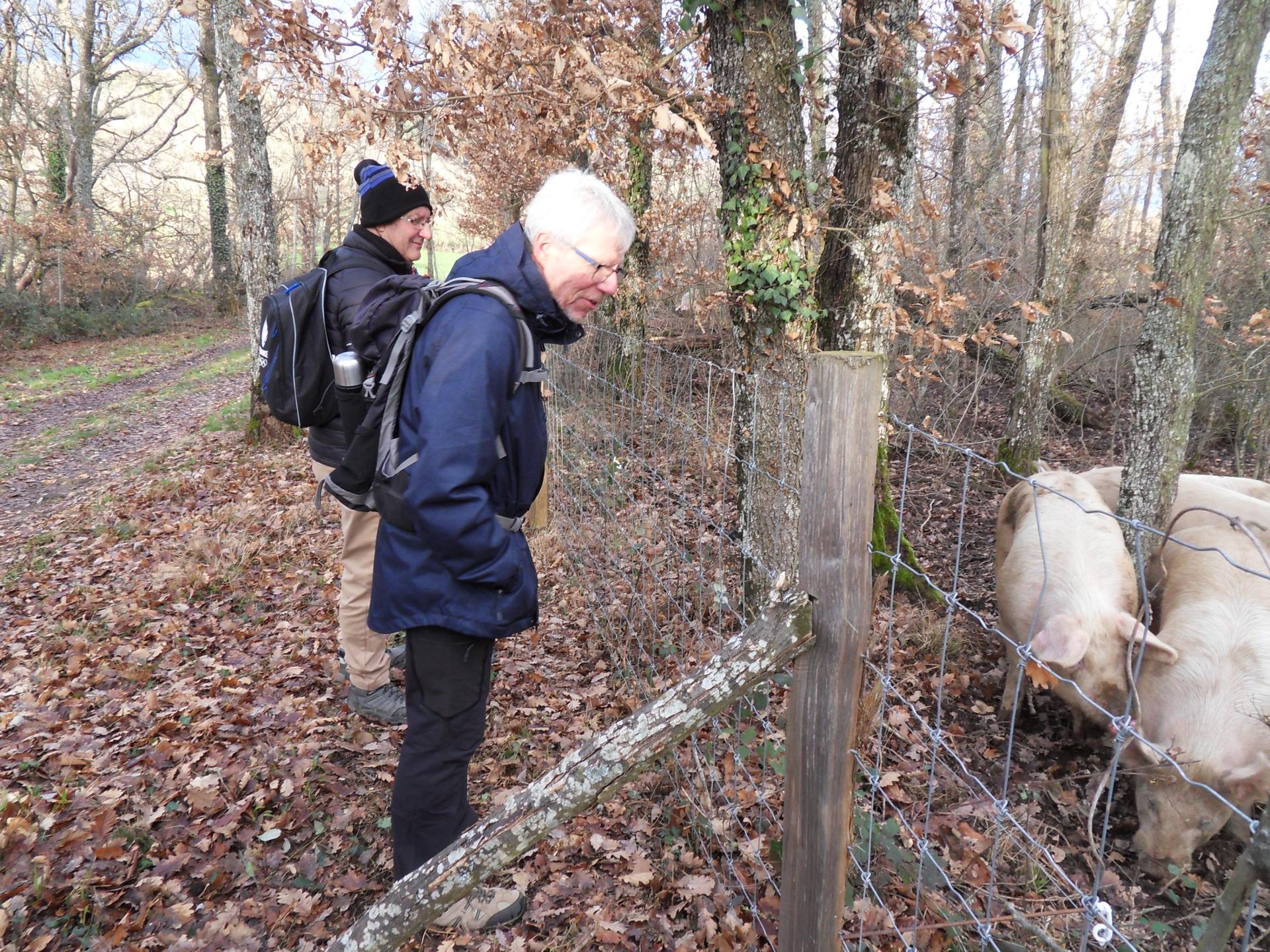 Des saucissons sur pattes.