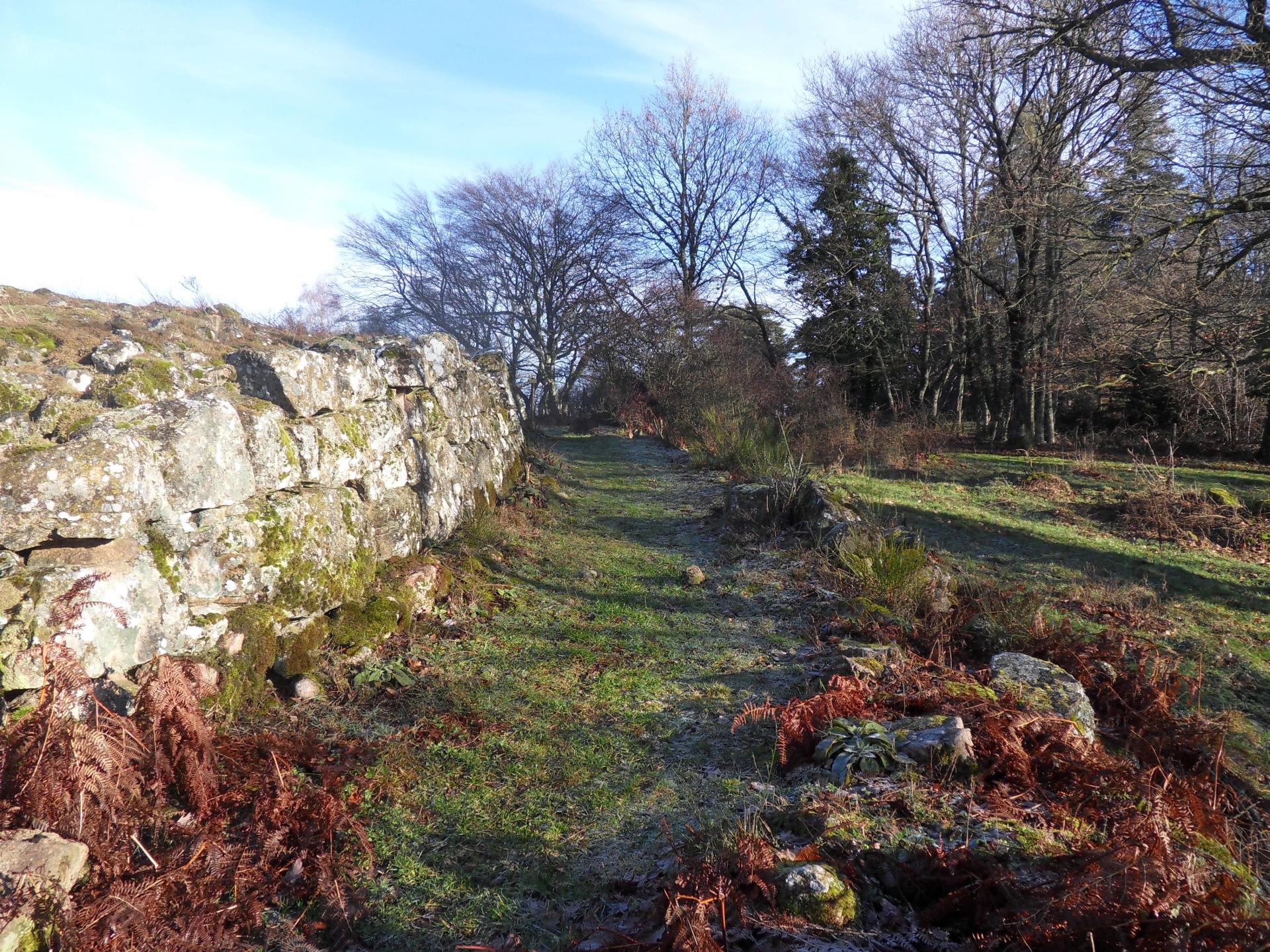 Petit chemin pittoresque