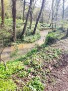 Whatsapp image 2024 03 28 a 12 29 32 f249ebc3 copie